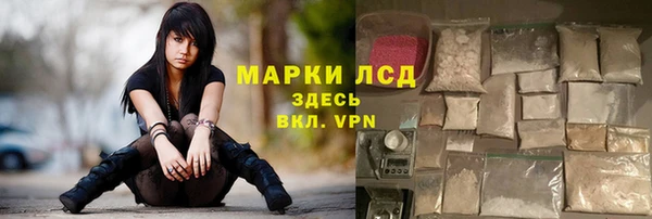 сатива Алзамай