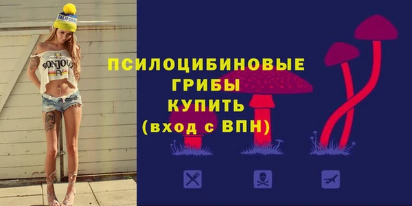 сатива Алзамай