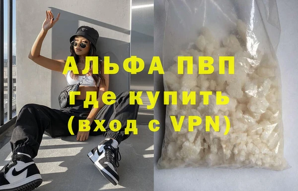 СК Алексин