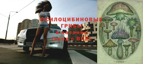 МДПВ Алексеевка